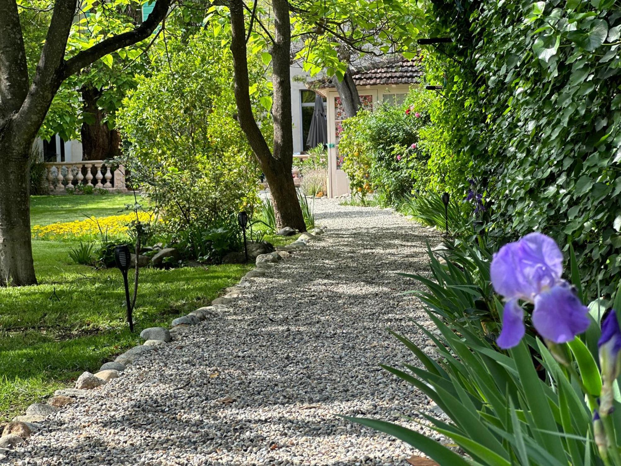 Bed and Breakfast L'Enthousiasme à Prades  Extérieur photo